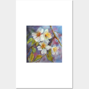 Blossom Time  (early spring) Posters and Art